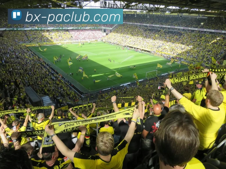 PA体育模拟器APP 体育赛事宣传图